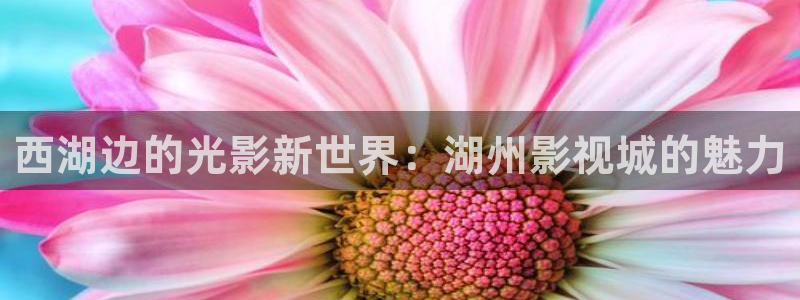 小小影视手机app
