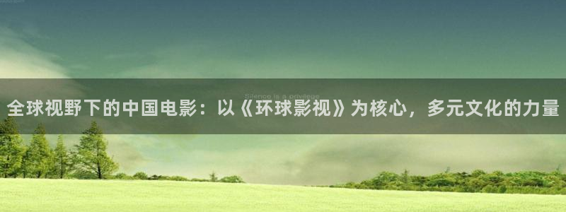 小小影视投屏版