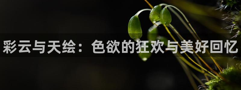 小小影视免费下载官网