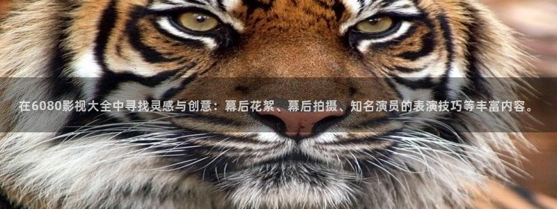 小小影视app官网版
